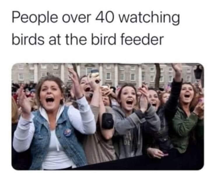 people-over-40-watching-birds-at-bird-feeder-de
