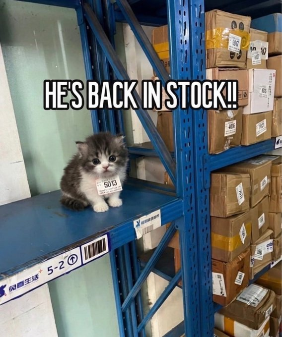 5-2-hes-back-stock-5013-50g