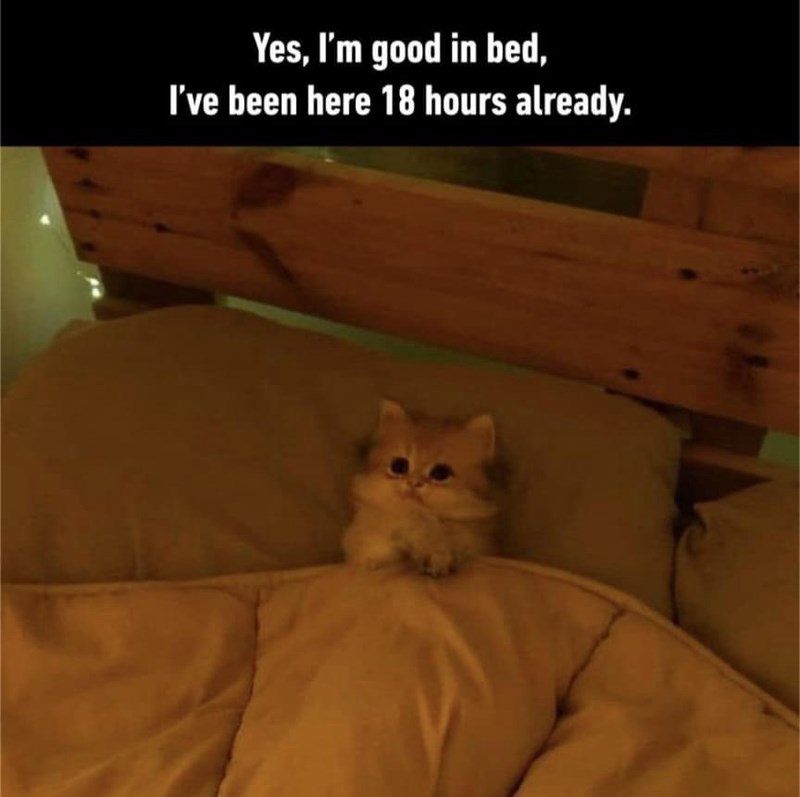 yes-good-bed-been-here-18-hours-already