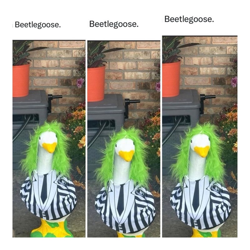 beetlegoose-beetlegoose-beetlegoose