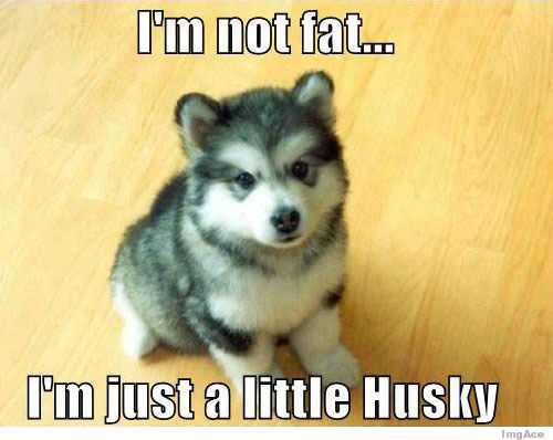 im-just-a-little-husky.jpg