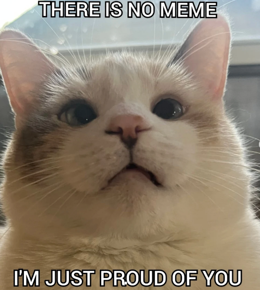 there-is-no-meme-just-proud