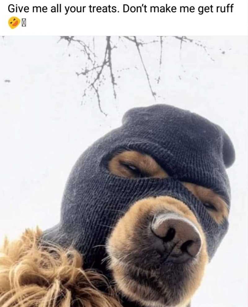 give-all-treats-dont-make-get-ruff