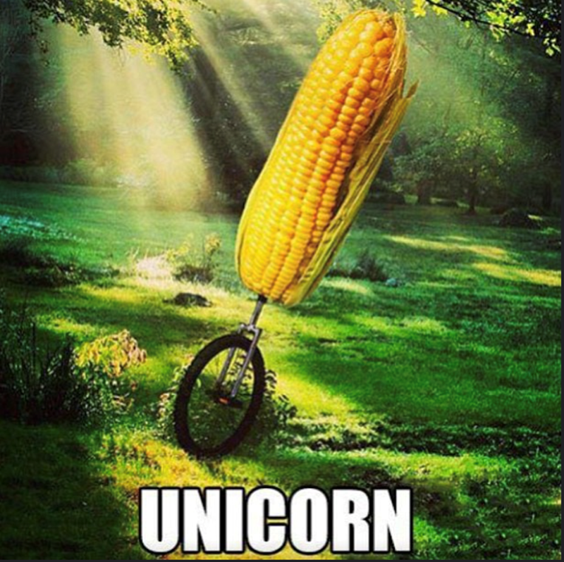 unicorn