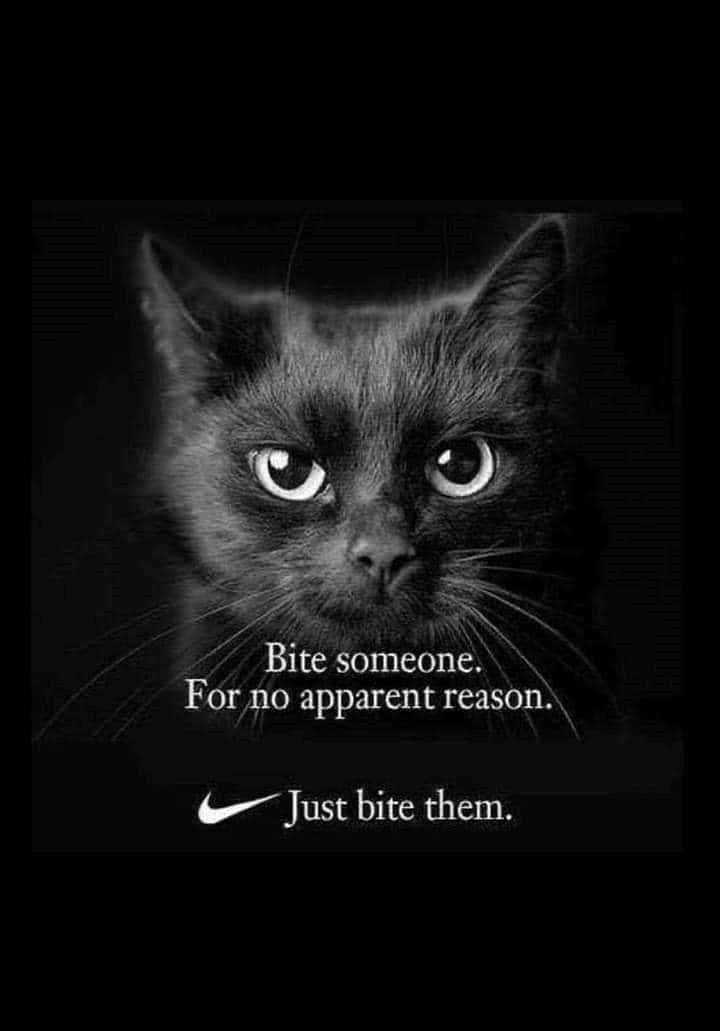 bite-someone-no-apparent-reason-just-bite-them