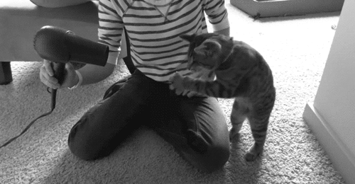 will-notget-blownover