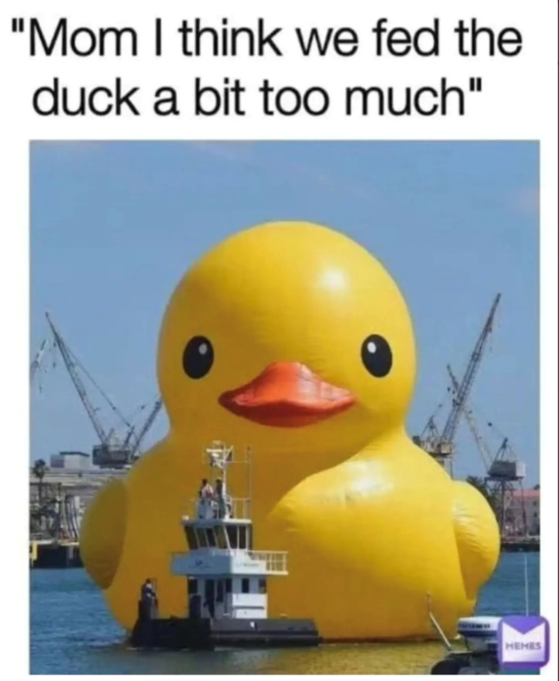 mom-think-fed-duck-bit-too-much-memes