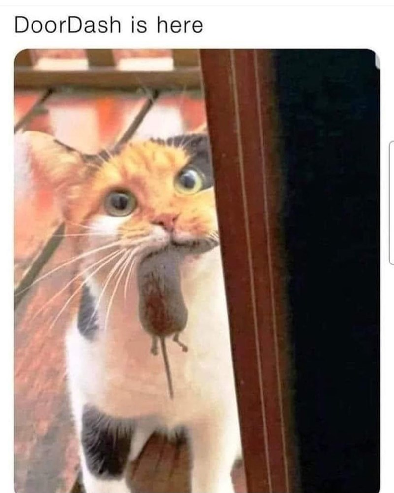 doordash-is-here