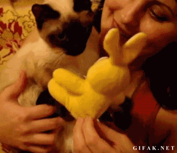 he-loves-his-stuffed-bunny