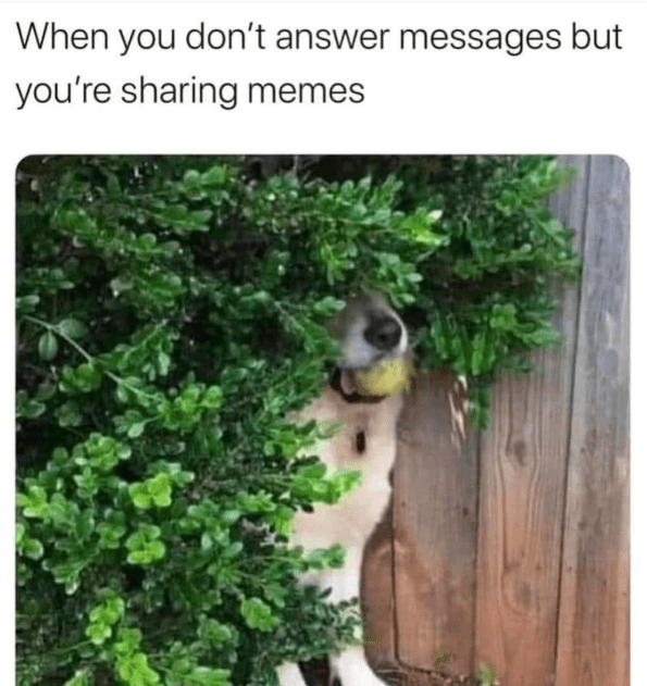 dont-answer-messages-but-sharing-memes