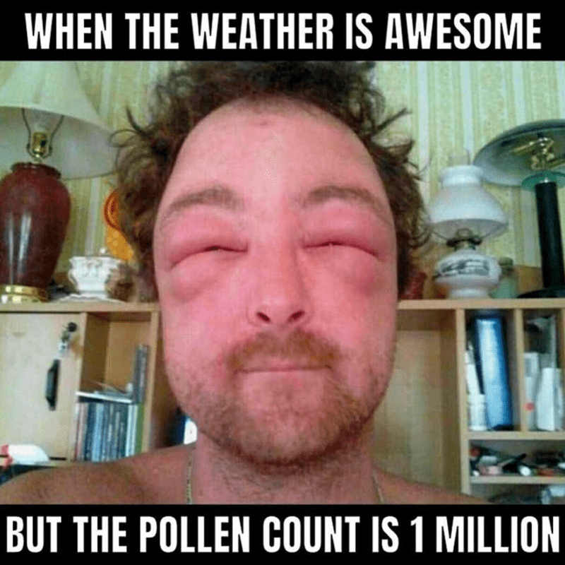 weather-is-awesome-but-pollen-count-is-1-million