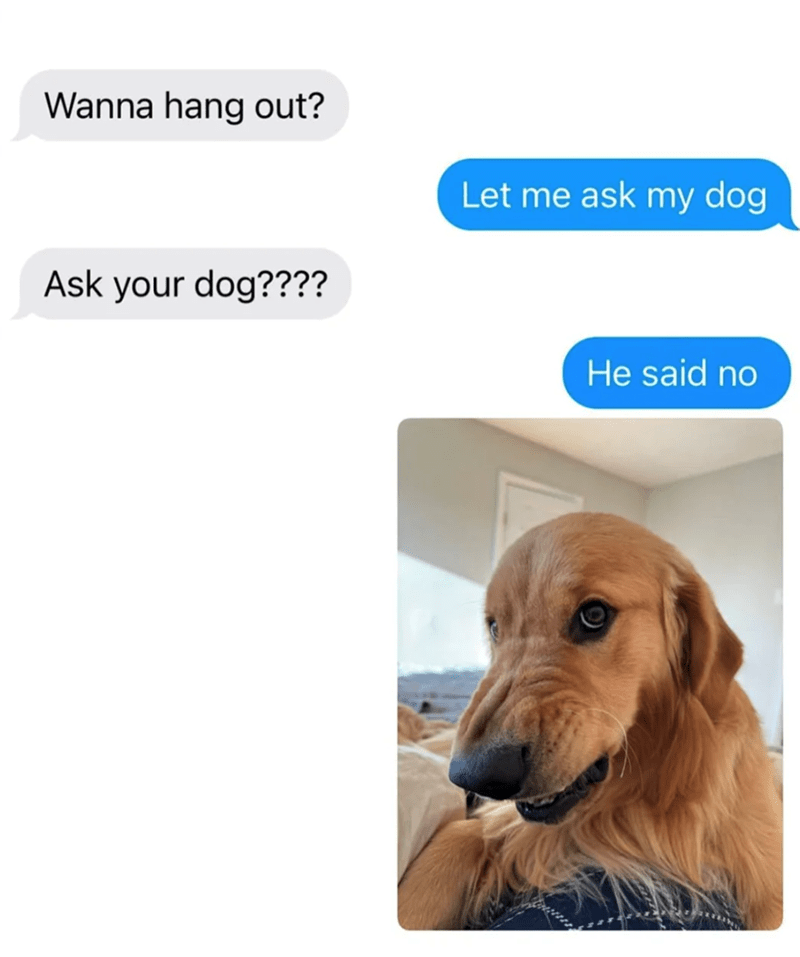 wanna-hang-out-ask-dog-let-ask-my-dog-he-said-no