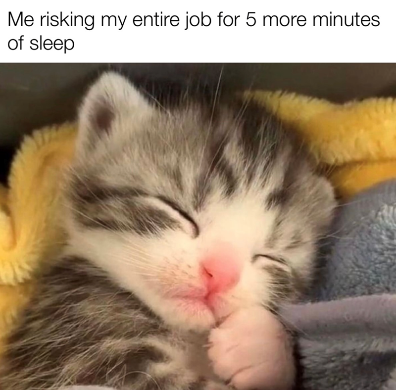 risking-my-entire-job-5-more-minutes-sleep