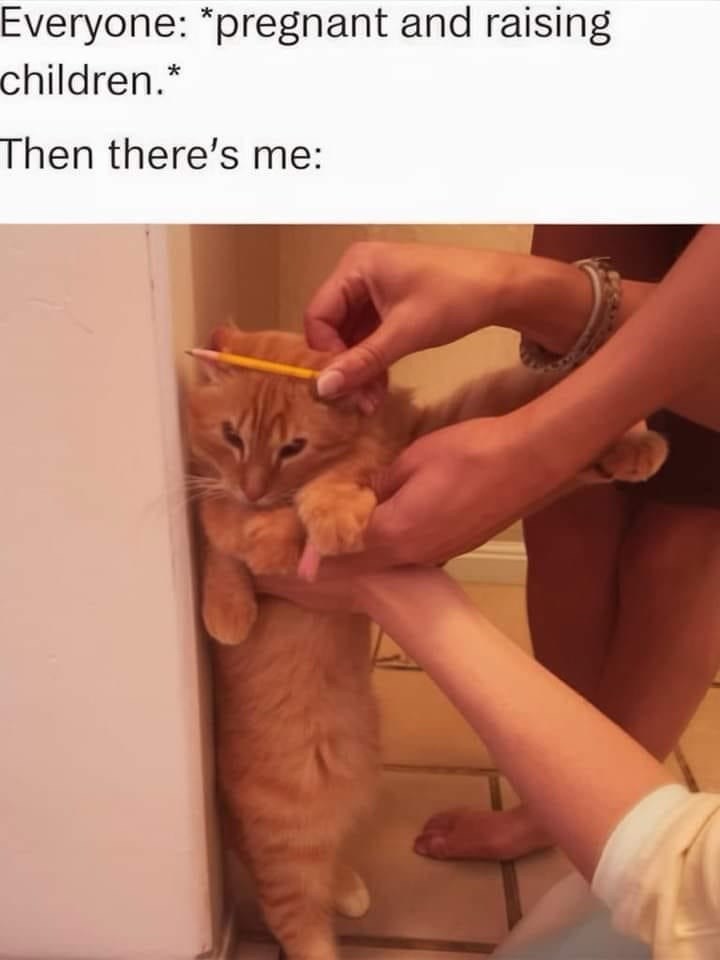 everyone-pregnant-and-raising-children-then-theres