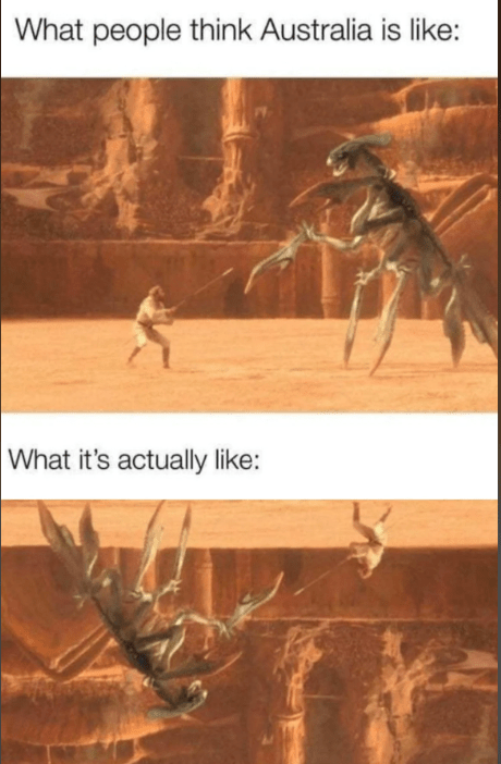 people-think-australia-is-like-s-actually-like