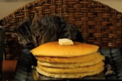 pancakes