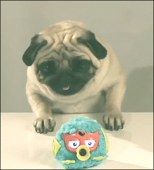 get-over-here-you-crazy-thing