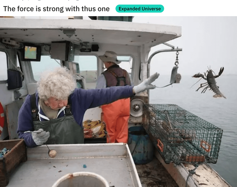 force-is-strong-with-thus-one-expanded-universe