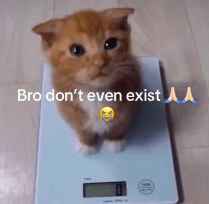 bro-dont-even-exist-tare