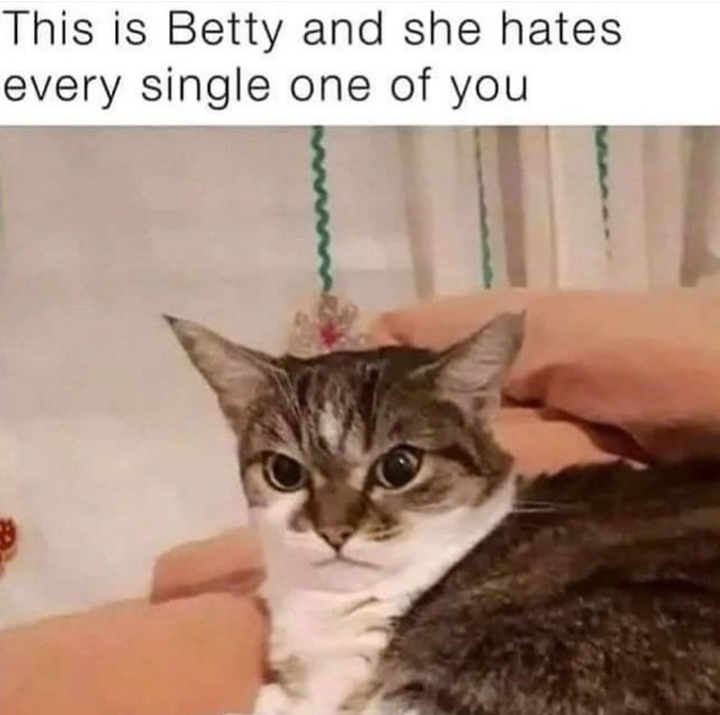 this-is-betty-and-she-hates-every-single-one
