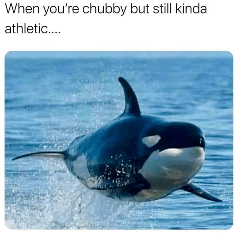 chubby-but-still-kinda-athletic
