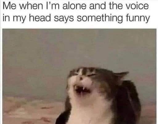 alone-and-voice-my-head-says-something-funny