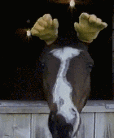 it-helps-him-swat-the-flies