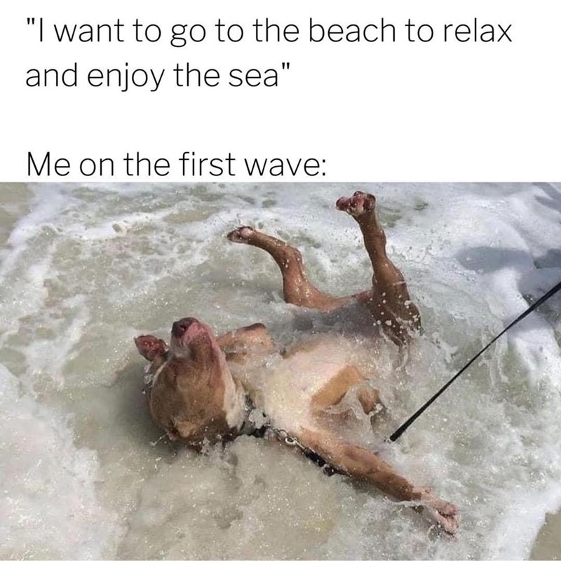 want-go-beach-relax-and-enjoy-sea-on-first-wave