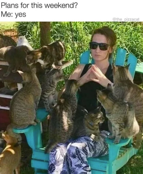 plans-this-weekend-yes-pizzacat